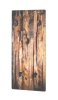 Bild1