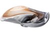 Bild1