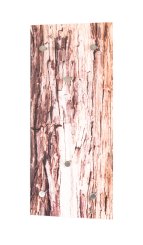 Wandgarderobe Rinde 