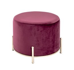 Hocker Boxer 1 