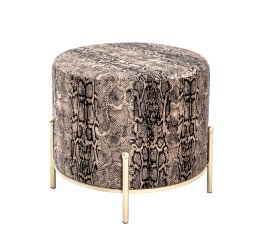 Hocker Snake 