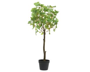 Kunstpflanze "Gingko" im Topf 